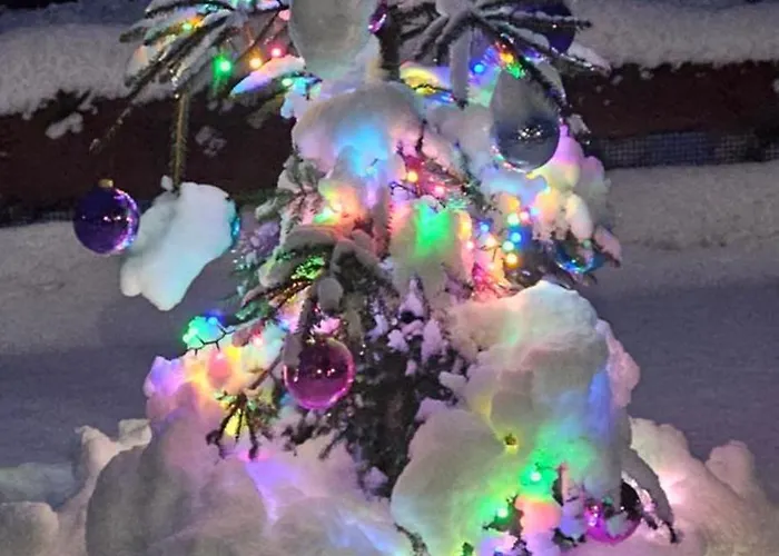 Ostoja Bukowo Kaszmir 18,1 * Borowy Mlyn